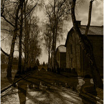 C Mike Pettett_Auschwitz Shadows