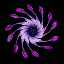 C Morag Landers_Twirly Whirlygig