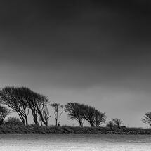 C Paul Henderson Weathered