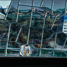 C Pedro Landers Harpa Reflections