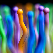 C Rich Goulding Hair brush Jive