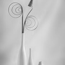 Still Life with a Twist 2023 Mono Prints