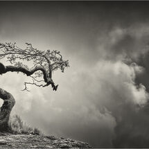 Don Harris Memorial 2022 Prints