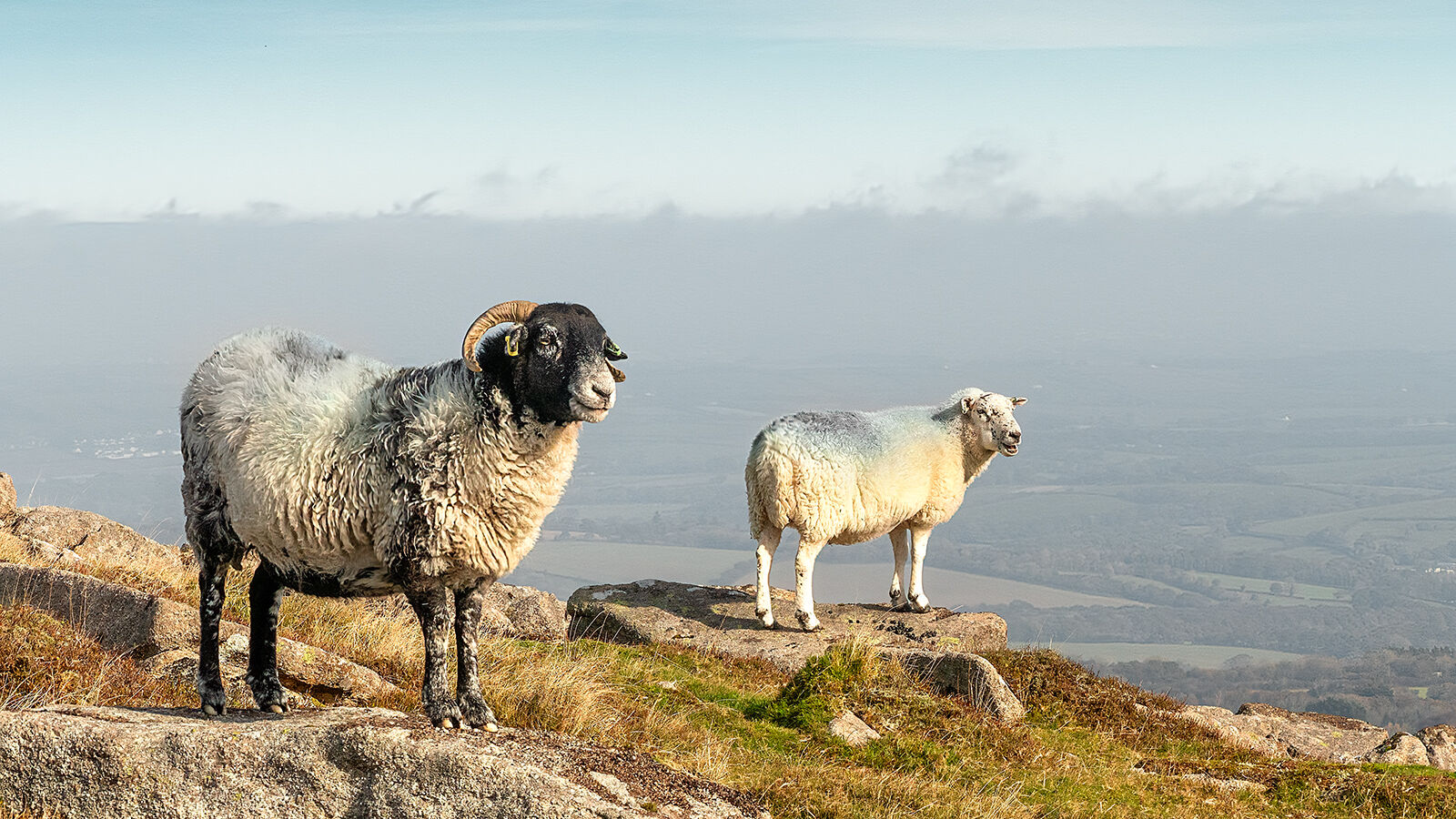 First Heather Bodle I love this view Mint Sauce