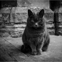 Don Harris Memorial 2023 Prints