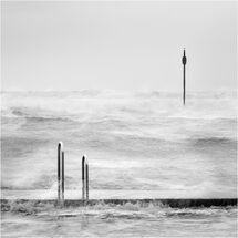 Water 2024 Mono Prints