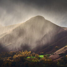 Grand Slam 2024 Colour Print