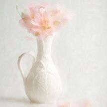 Simplicity 2021