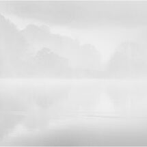 HC Heather Bodle Alone