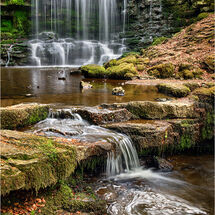 HC Heather Bodle Scaleber Force