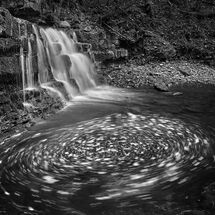 HC Heather Bodle Swirl