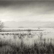 HC Heather Bodle Winters Day on Derwent