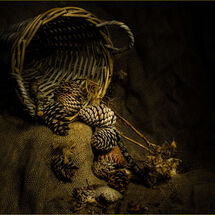 HC Mike Pettett Autumnal