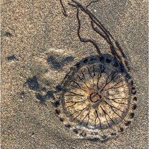 HC Mike Stickney A simple structure