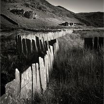 HC Nick Bodle Fence Line