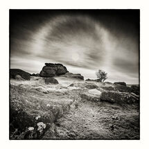 HC Nick Bodle Ring of Ice Combshead