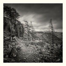HC Nick Bodle Wind Battered and Cumbrian Track