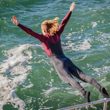 HC Pedro Landers Going For It