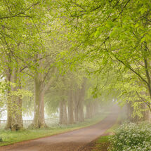 HC Pedro Landers Hinton St Mary Beech Avenue