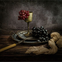 HC Tracey Small Rags To Riches