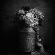 HC Tracey Small Shadow Bloom