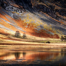 Second Heather Bodle Golden Reflection