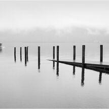 Don Harris Memorial 2025 Print