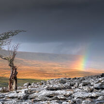 C Heather Bodle Twistleton Rainbow