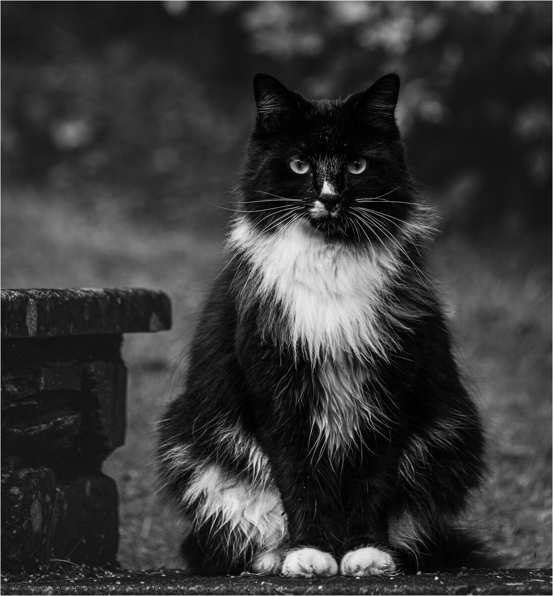 HC Hugh Letheren Need a Blow Dry