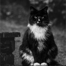 HC Hugh Letheren Need a Blow Dry