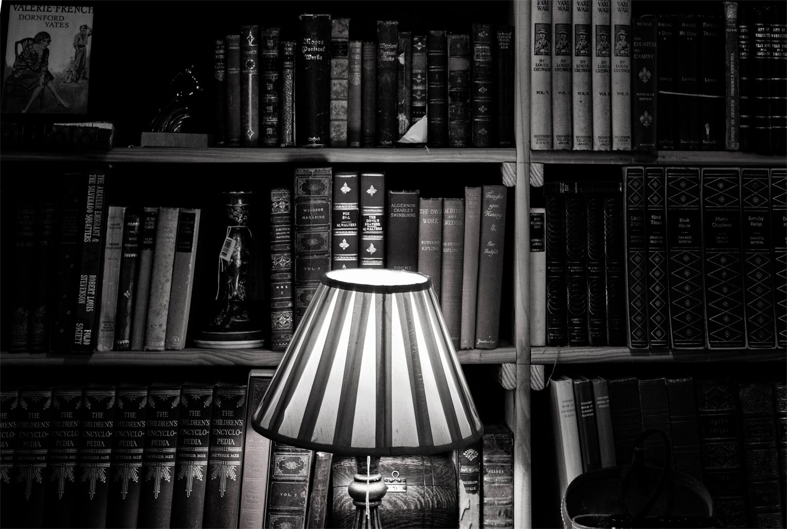 HC Ian Smith 2 Antique store bookcase