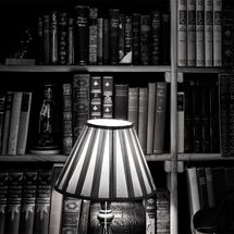 HC Ian Smith 2 Antique store bookcase