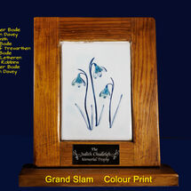 The Judith Chudleigh Memorial Trophy