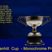 Stenhill Cup
