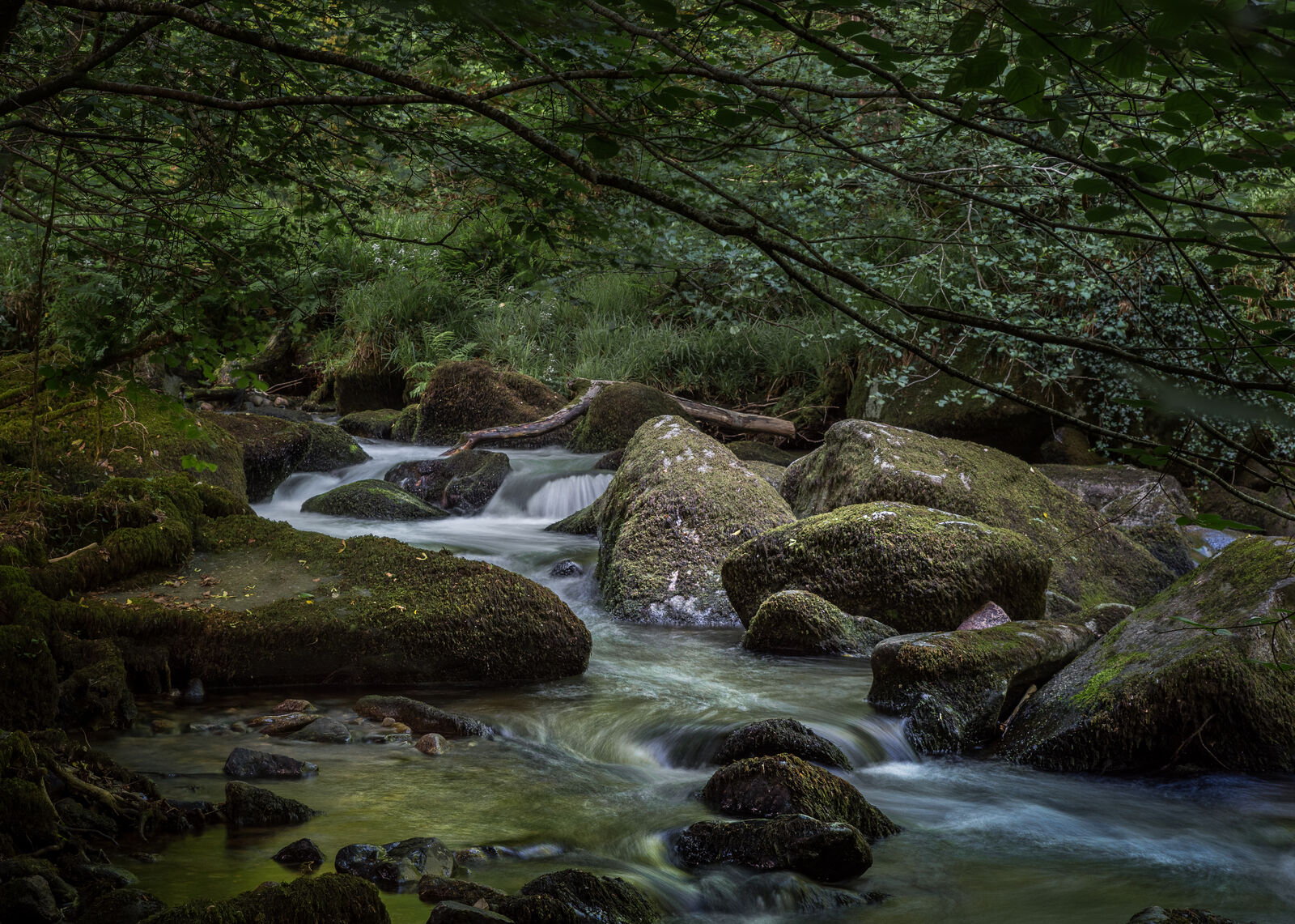 HC Mike Pettett River Meavy at Shaugh Bridge