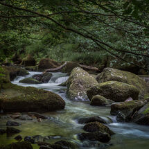 Third= Mike Pettett River Meavy at Shaugh Bridge