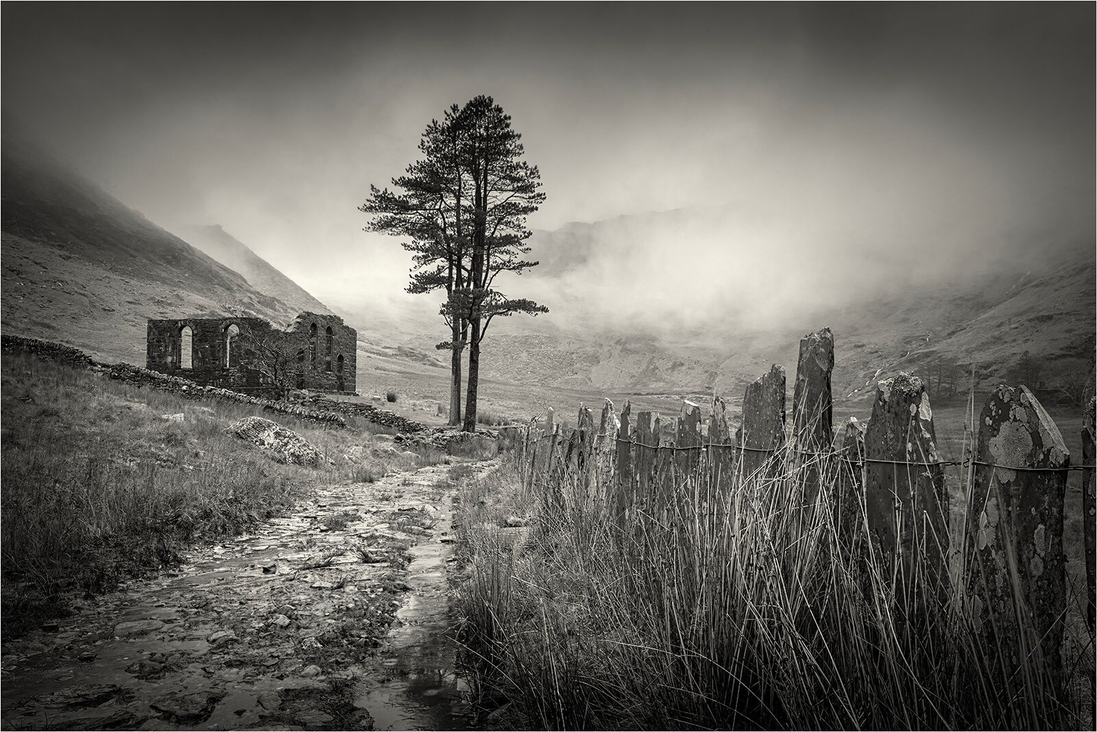 C Nick Bodle Chapel Ruin