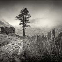 C Nick Bodle Chapel Ruin