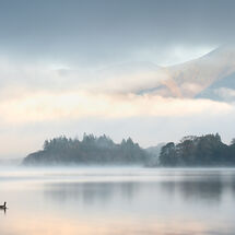 Open Prints 2026 Colour