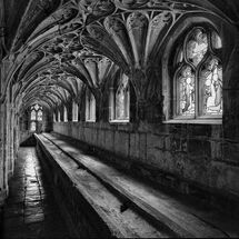 Third Nick Bodle The Lavatorium