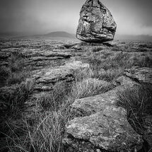 Open Prints 2026 Mono