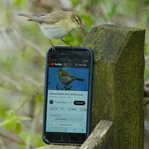 HC Paul Howrihane Sounds familiar