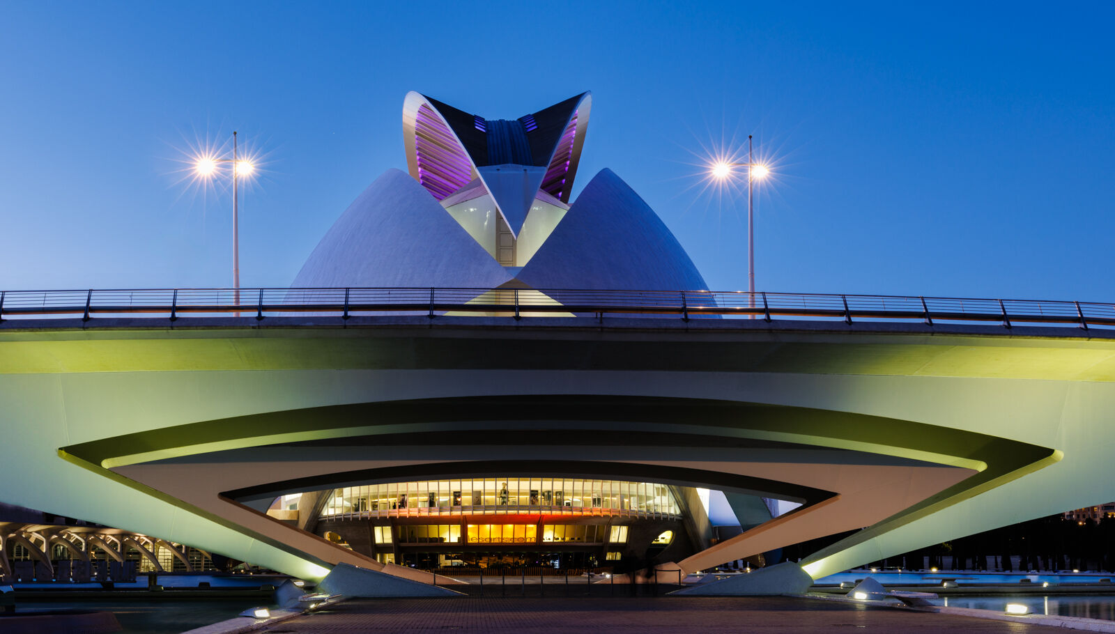 Second Pedro Landers The Spaceship