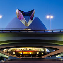 Second Pedro Landers The Spaceship