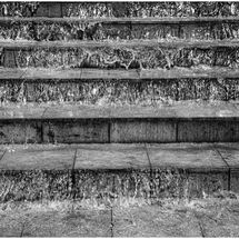 Second Chris Pollard Steps to Dry Land!