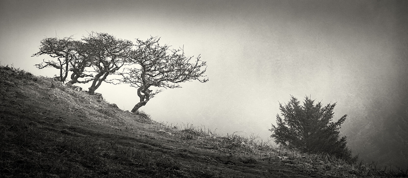 Second Heather Bodle Confrontation