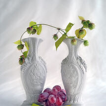 Second Heather Bodle Hops Grapes and Vases