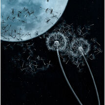 Second Mike Pettett_Night Flight