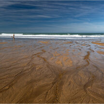 Second Mike Stickney Beach Moasic