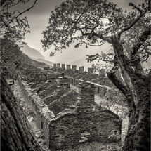Second Nick Bodle Barracks in Ruin